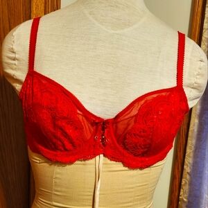 Elegant Red Lace Bra SZ 36C